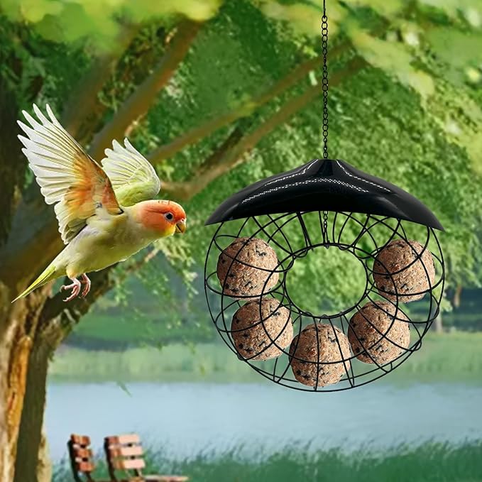 Suet Ball Hanging Wild Bird Feeder Bird Feed Dispenser Suet Ball Holder for Outside Fat Ball Feeder Orbicular Shaped