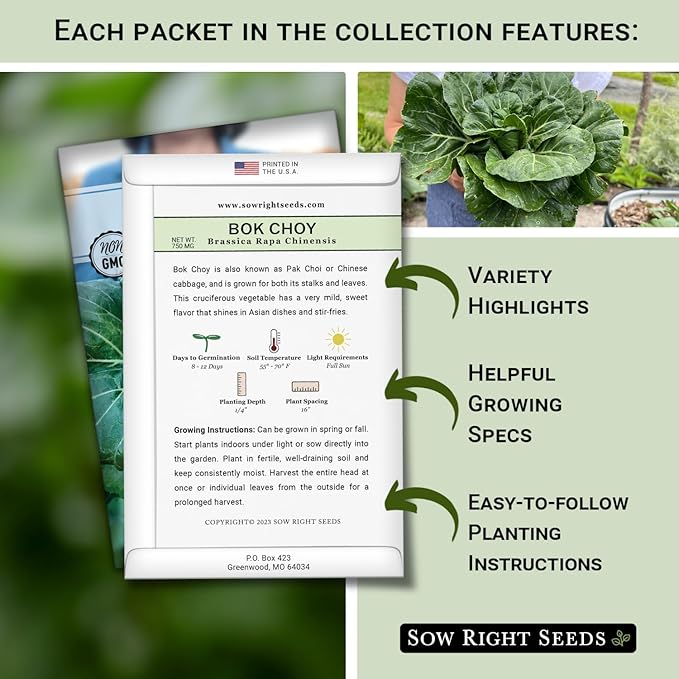 Sow Right Seeds - Hydroponic Vegetable Seeds for Planting - Lettuce, Kale, Arugula, Pak Choi, Watercress & Cherry Tomato Seeds for Planting and Growing Hydroponics - Perfect for Indoor Growing System