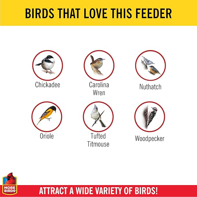 More Birds Double Suet Feeder with Weather Guard,6.5" L X 4.25" W X 7.25" H,Brown,(Pack of 4)