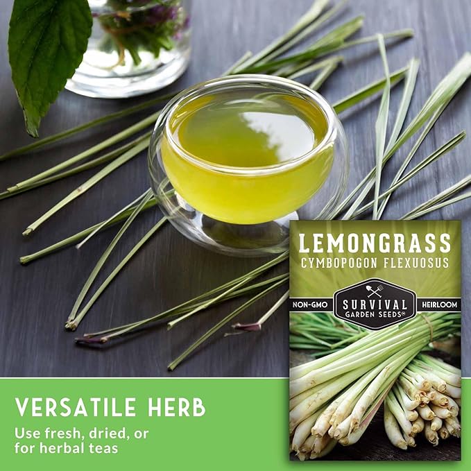Lemongrass Seeds for Planting - Lemon Scented Asian Lemongrass for Your Home Vegetable Garden - Heirloom Non-GMO Open-Pollinated - Survival Garden Seeds (2 Packs)