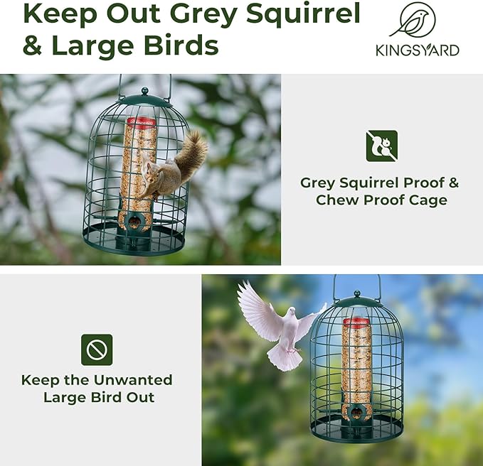Kingsyard Metal Bird Feeder for Outdoors, Squirrel Proof Caged Tube Feeders Hanging Green, Wild Small Birds Rainproof Station for Garden Yard Seed Easy Clean, Green