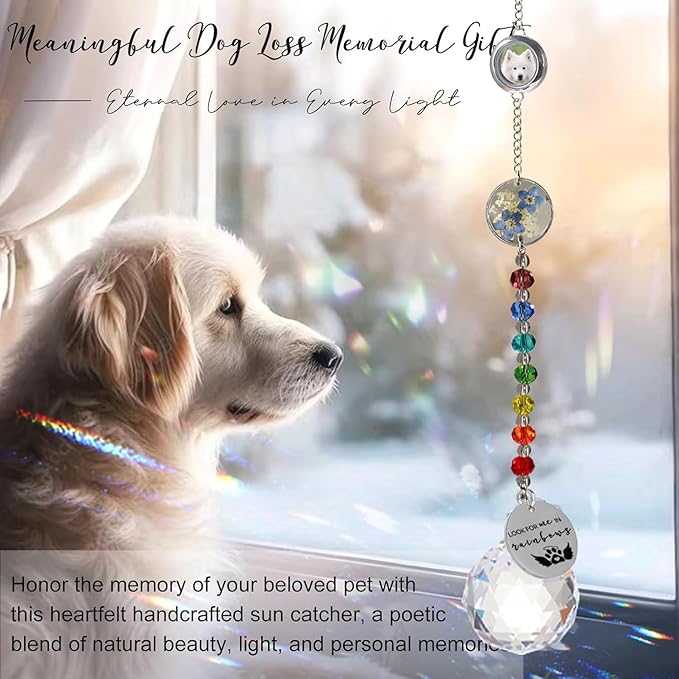 Pet Memorial Suncatcher Loss of Dog Sympathy Gift, Rainbow Bridge Dog Bereavement Cat Memorial Gifts, Passing Away Remembrance Gifts (1, Round)