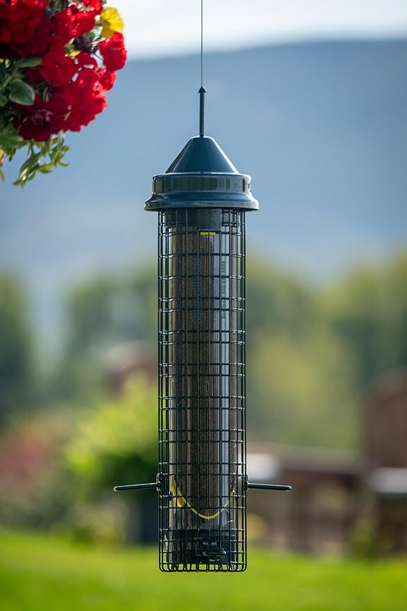 Squirrel Buster® Nyjer® – Squirrel-Proof Nyjer®/Thistle 2.4-pound Seed Capacity Feeder w/8 Feeding Ports & 4 Perches, Easy Fill & Clean, Durable Outdoor Feeder for Finches, Goldfinches & Small Birds