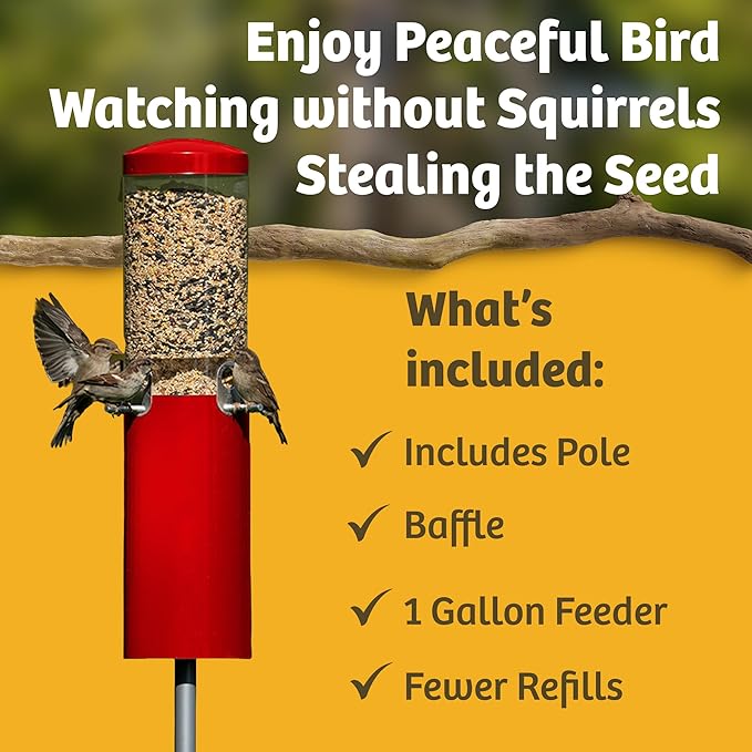 Birds Choice Classic Squirrel Proof Bird Feeder with Pole Mount | Tube Bird Feeder for Cardinals, Chickadees, Woodpeckers | Sturdy Steel for Long-Lasting Use | Backyard Bird Seed Dispenser | Green