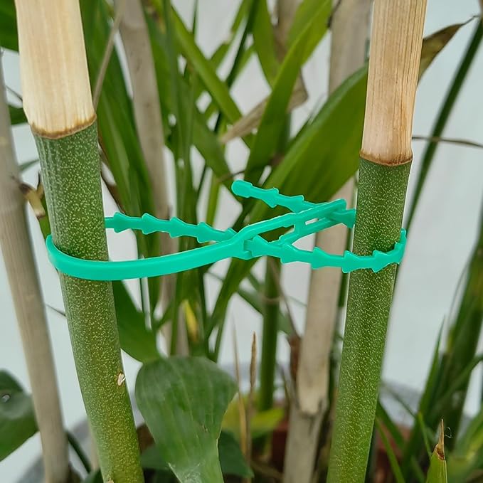 200Pcs Adjustable Plant Ties Flexible Garden Plant Ties,Multi-Function Sturdy Garden Plant Green Twist Tie,Reusable Plastic Garden Ties Plant Support Tree Shrub for Secure Vine