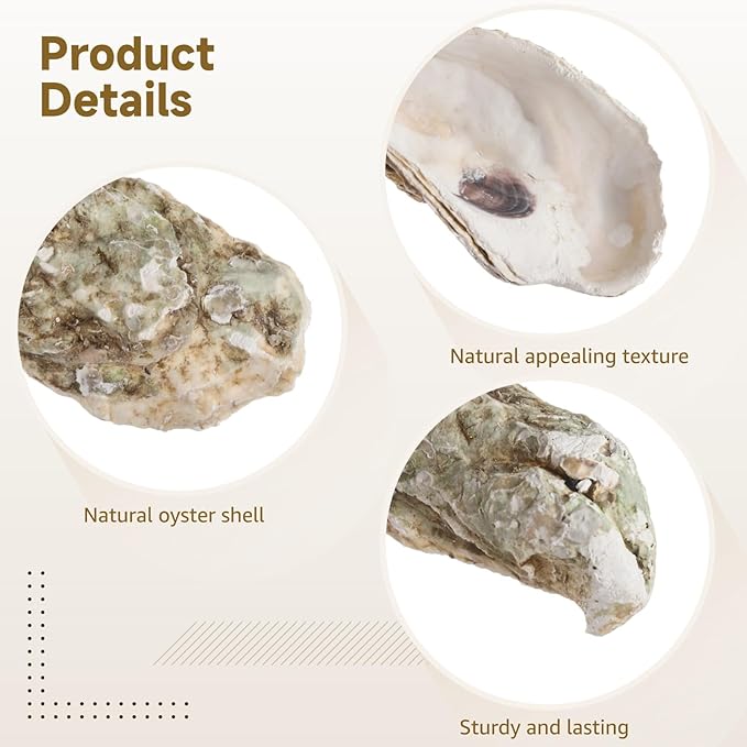 Homaisson 10 PCS Oyster Shells for Crafts, 5-6 in Large Oyster Shell for Decor, Natural North Sea Origin for Aquarium Landscaping DIY Ornaments, Crack-Free Surface