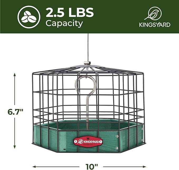 Kingsyard Squirrel Proof Platform Bird Feeders for Outdoor Hanging, 10" Wide Metal Caged Bird Feeder for Small Wildbirds Finches, Recycled Plastic Feeding Platform with Metal Seed Tray, Green