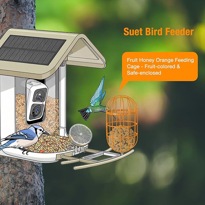 Metal Suet Ball Holder for Bird - Compatible with Most Outdoor Smart Feeders - Oval-Shaped Suet Ball Holder for Outdoors Bird Feeder Accessories with 5mm Screw (Orange)