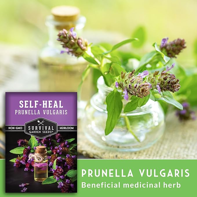 Self-Heal Seeds for Planting - Prunella Vulgaris (All-Heal, Selfheal) Hardy Perennial Ground Cover & Pollinator Wildflower, Non-GMO Heirloom Herb - Survival Garden Seeds (1 Pack)