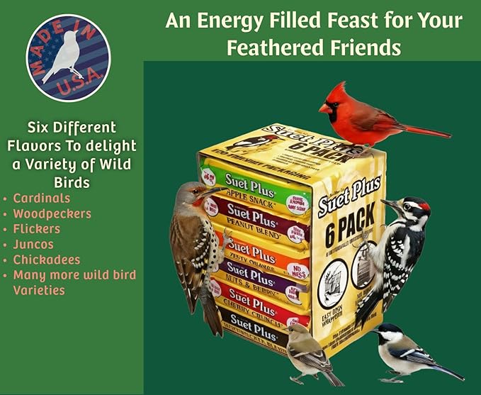 Wildlife Sciences Suet Plus Variety Suet Cake 6 Pack of Suet Cakes for Wild Birds | Package May Vary