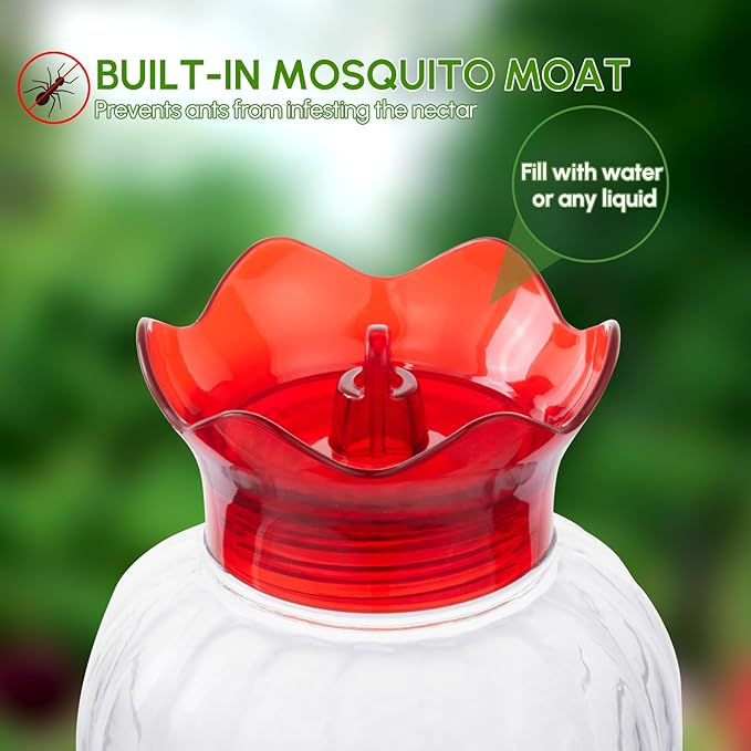 Hummingbird Feeder 20 oz Glass Hummingbird Feeders for Outdoors, with Built-in Ant Guard and Bee Proof - 6 Feeding Ports - Wide Mouth for Easy Filling/2 Part Base for Easy Cleaning