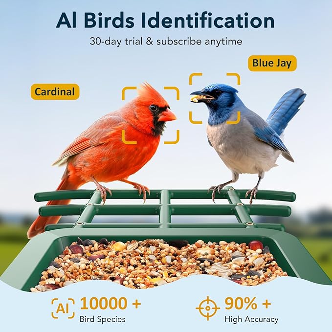 Bird Feeder with Camera Solar Powered, AI Identify & Auto Capture with 32GB Card, 2K HD Live Video Smart Bird Feeder Camera Instant Notifications in Backyard, Gift for Bird Lovers