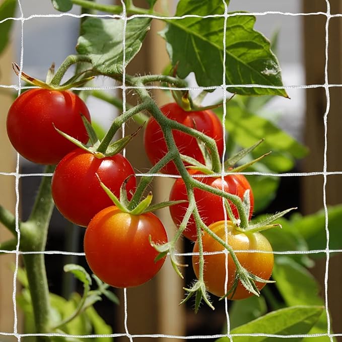 Tcamp Heavy-Duty Polyester Plant Trellis Netting 5 x 15ft (1 Pack) (5 Ft X 15 Ft)