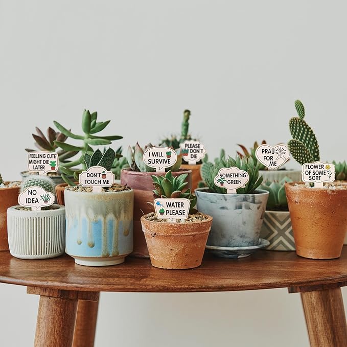 15 Pcs Garden Plant Markers, Plant Labels Funny Plant Stakes, Wooden Plant Labels Tab Plant Signs, for Indoor Plants Outdoor Garden Potted Plant Novelty Gifts