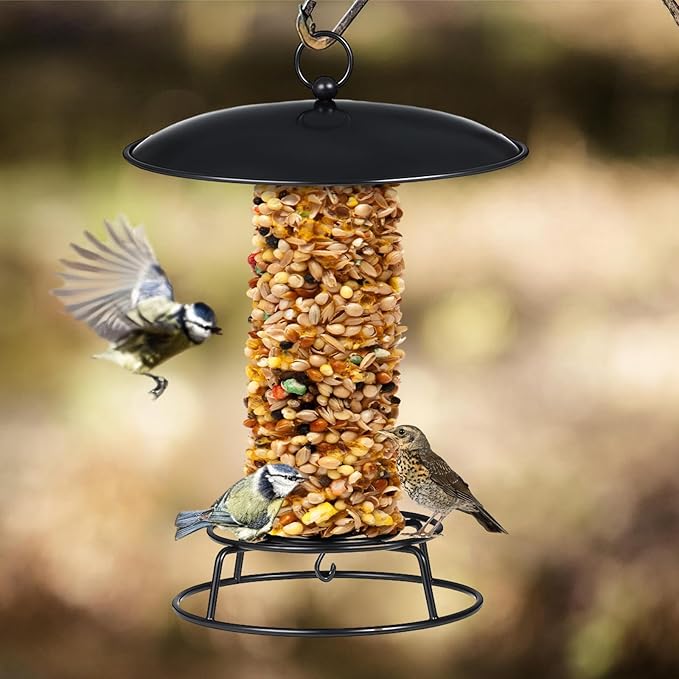 2 Pcs Cylinder Bird Feeder Outdoor Seed Cake Feeder Metal Suet Cake Holder Backyard Wild Bird Feeding Feeders for Outdoors Garden(Classic)