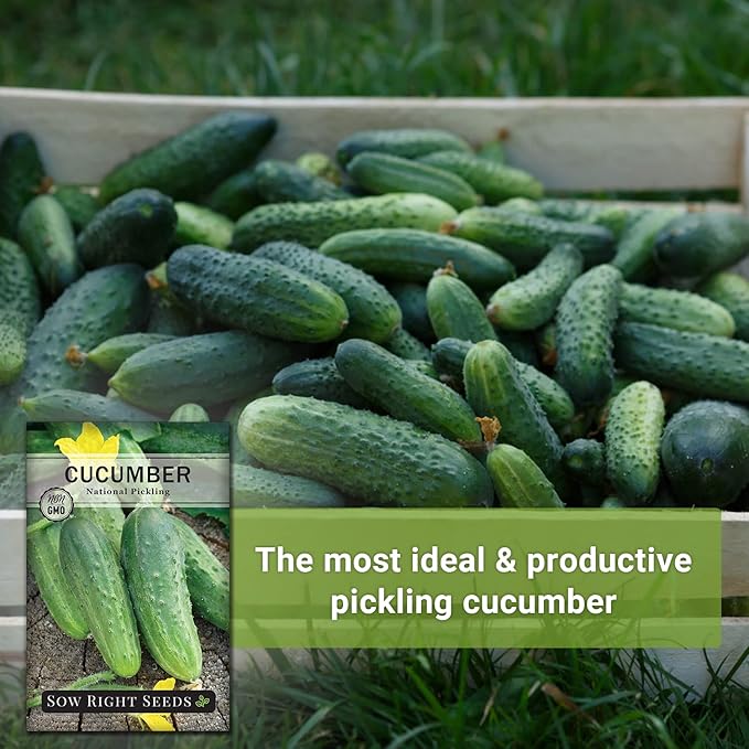 Sow Right Seeds - National Pickling Cucumber Seeds for Planting - Non-GMO Heirloom Packet with Instructions to Plant and Grow a Home Vegetable Garden - Famous Variety for Homemade Pickles (2)
