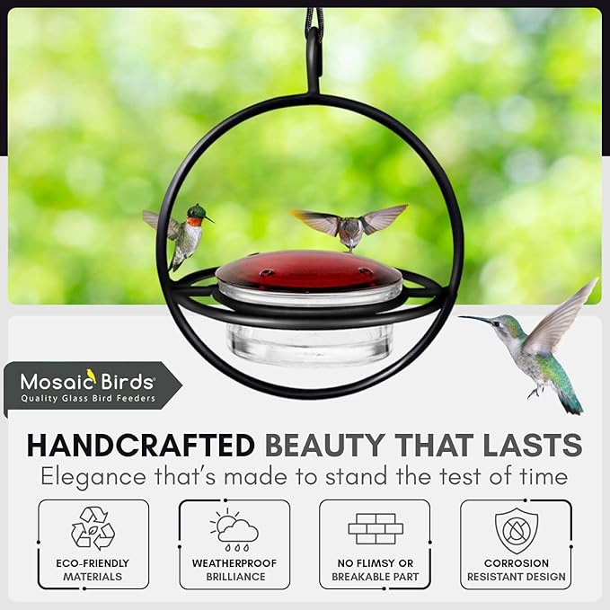 Hummingbird Feeder for Outdoors Hanging, 3.4 OZ Hummingbird Feeders, Glass Bowl with 4 Feeding Ports, Leak Proof Lid & Circular Perch, Bird Feeder (1, Black)