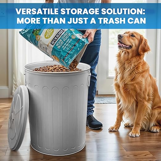Plexon Large Metal Trash Can with Lid 20 Gallon, Decorative Outdoor Trash Can Heavy Duty Galvanized Metal Bucket with Lid for Garage Workshop Ash Storage Farmhouse, Gray 6 Pack