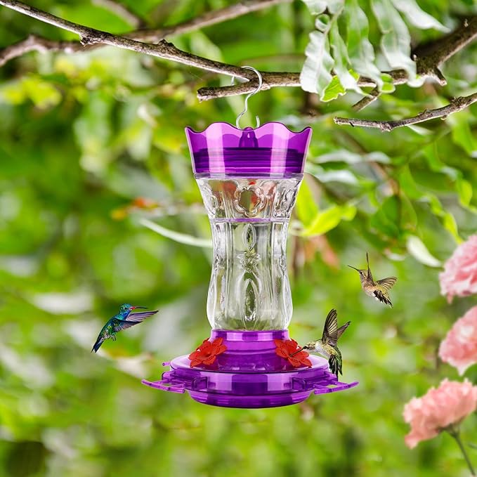 Glass Hummingbird Feeders for Outdoors, Built-in Ant Moat & Leakproof Design, XAROO Hummingbird Feeder with 4 Bee Guard Feeding Ports, 15OZ, Purple, Gifts for Mom Wife Dad, Birthday Gift for Men Women