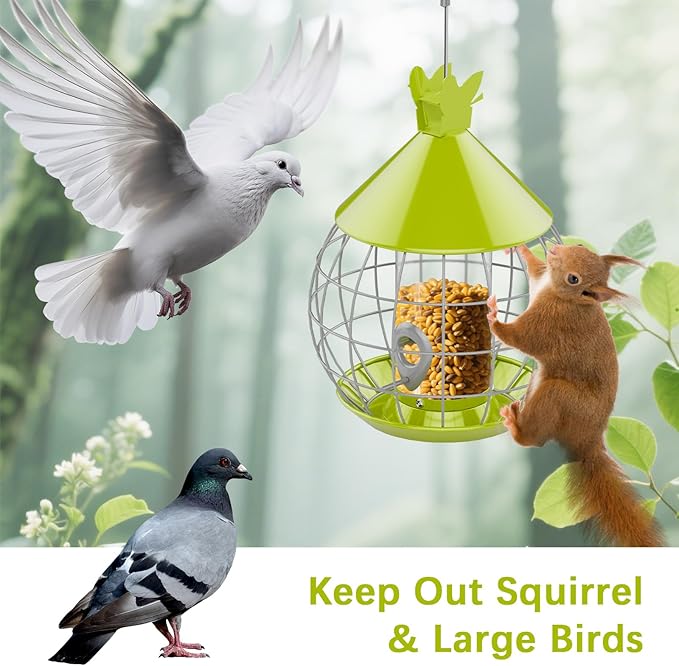Bird Feeder Squirrel Proof with Caged Design,Metal Hanging Bird Feeder for Outdoor Use, Easy to Fill & Detachable Cleaning, Ideal for Small Birds Like Finches Wrens Chickadee