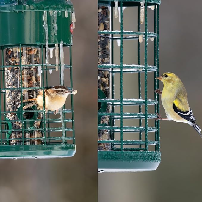 Kingsyard Upgraded Squirrel Proof Caged Bird Feeder for Outdoor Hanging - Additional Storage Tube Bird Feeder with 4 Feeding Ports & Perches, Easy to Clean & Refill. Green