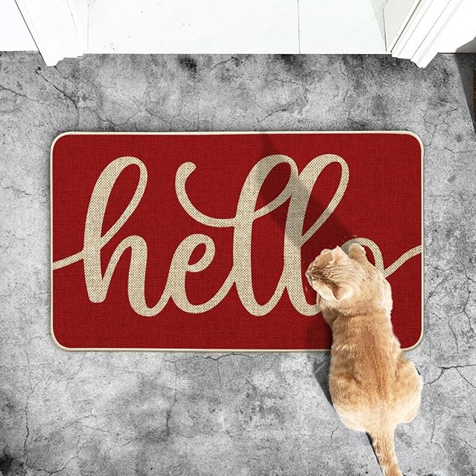 Artoid Mode Red Hello Valentine's Day Doormat, Anniversary Home Decor Low-Profile Switch Rug Door Mat Floor Mat for Indoor Outdoor 17x29 Inch