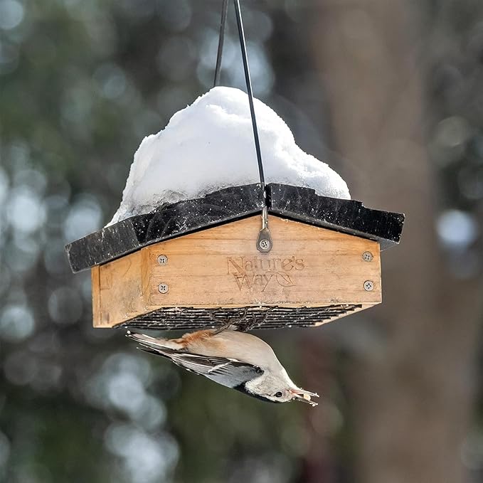 Nature's Way Bird Products CWF2 Cedar Suet Upside-Down Bird Feeder, Black