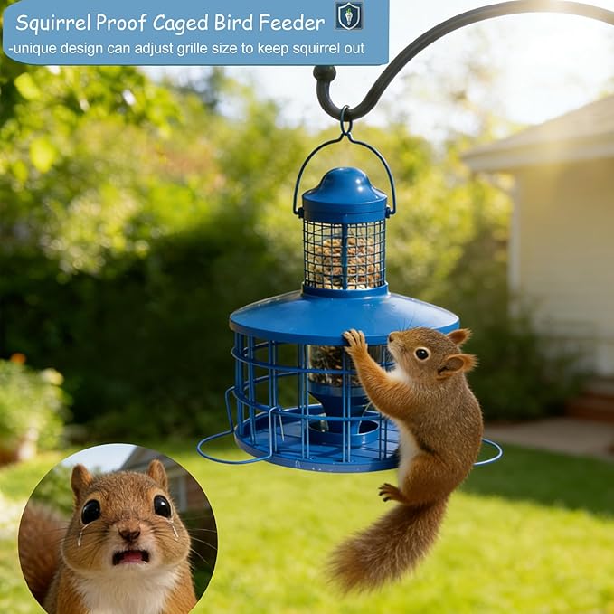 Squirrel Proof Caged Mealworm Bluebird Feeder with Detachable Grille, Easy Refill and Clean, Attract Wild Blue Bird Small Birds Outdoor Hanging, Metal Tube Feeders with Tray Life Time Support