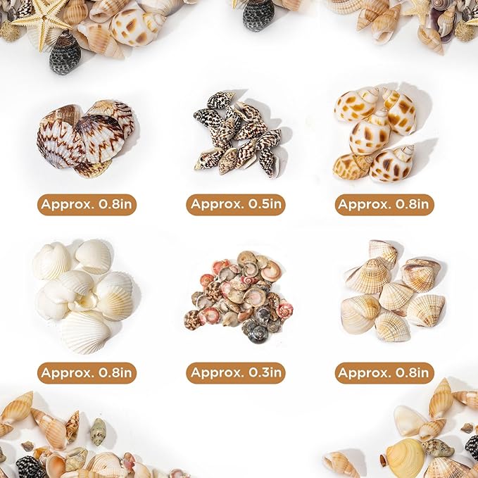 1200 PCS Natural Seashells, Joyfulmap Tiny sea Shells & Small Starfish for Decorations, Mixed Ocean Beach Spiral Shells for Crafting, Fish Tank, Beach Theme Party, Wedding Decor, DIY Craft Supplies