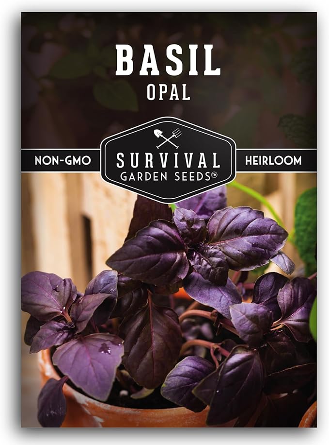 Opal Basil Seeds for Planting - Dark Opal Basil with Purple Leaves - Unique Herb Seed Variety - Heirloom, Non-GMO Herbs for Home Gardens - Survival Garden Seeds (1 Pack)