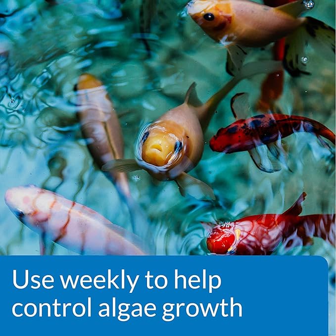 API POND ALGAEFIX Algae Control 64-Ounce Bottle (FF-169D)