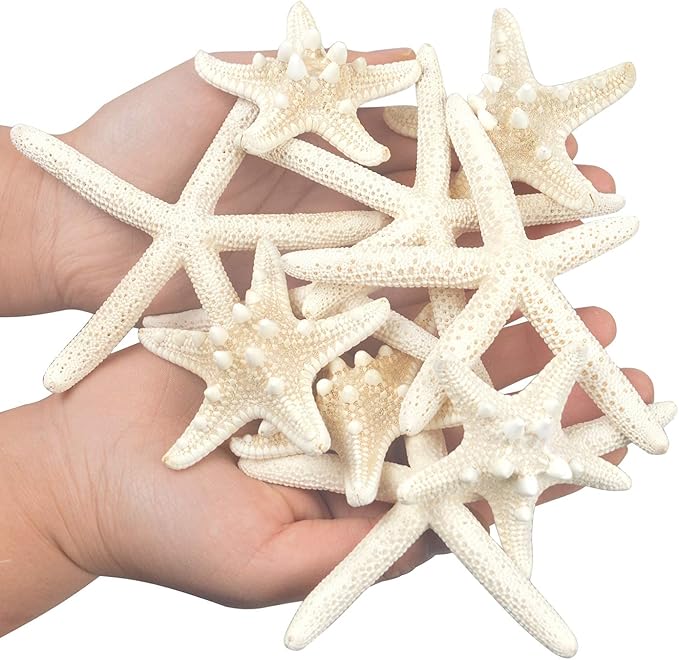 Jangostor 12 PCS Starfish 2-6 Inch Mixed Starfish Natural Seashells Starfish Star Fish Shells Decorations Perfect for Wedding Decor Beach Theme Party, Home Decorations, DIY Crafts, Fish Tank