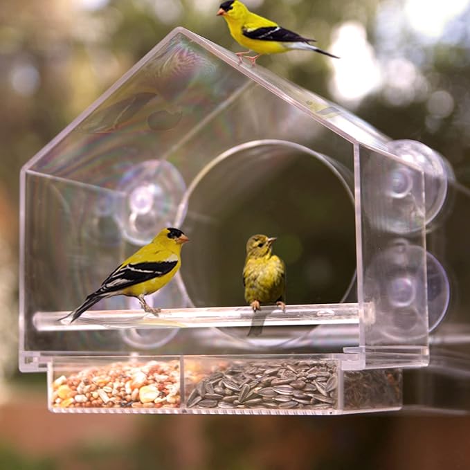 Nature Anywhere Window Bird Feeder - Transparent Acrylic Bird Feeders for Outdoors - Enhanced Suction Grip, Bird Watching for Cats, Easy-to-Clean, Outdoor Birdhouse Feeder (2 Units)