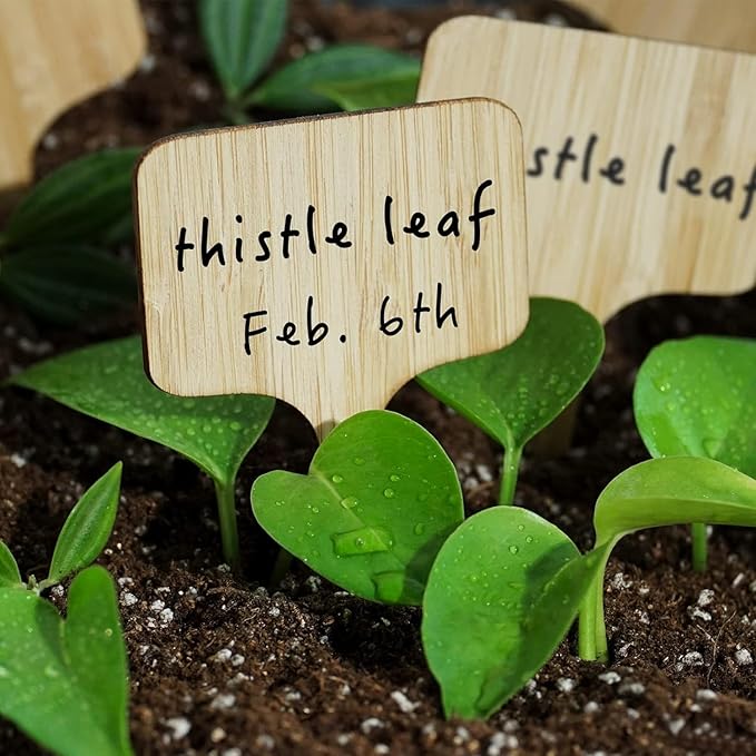 OBTANIM 75 Pack Bamboo Oval Plant Labels with A Marker Pen, Garden Markers Sign Plant Tags for Seedling Potted Herbs Flowers Vegetables