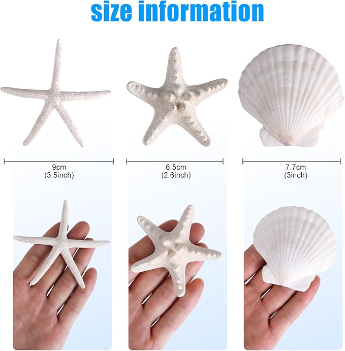 PPCLION 24 PCS Natural Starfish 2-4" and Scallop Shell for Crafts Making Beach Theme Party Wedding Decoration, Home Wall Decor, Christmas Ornaments