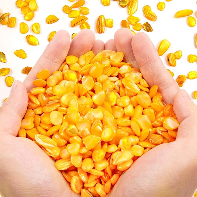 QICQDRAM Crushed Shells for Crafts About 1LB (405g/14.28oz) Small Natural Crushed Shells Bulk for Crafts DIY Beaching Wedding Decoration Vase Fillers (Golden Yellow)