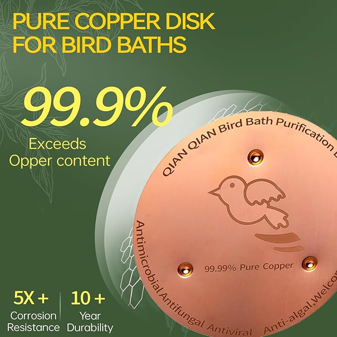 QIANQIAN Bird Bath Copper Disk, Copper Bird Bath Purification Disk (2, Copper)