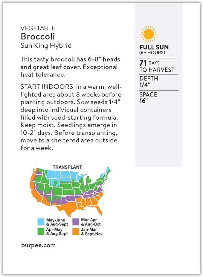 Burpee Sun King Hybrid Broccoli Seeds - Heat-Tolerant, High-Yield Hybrid