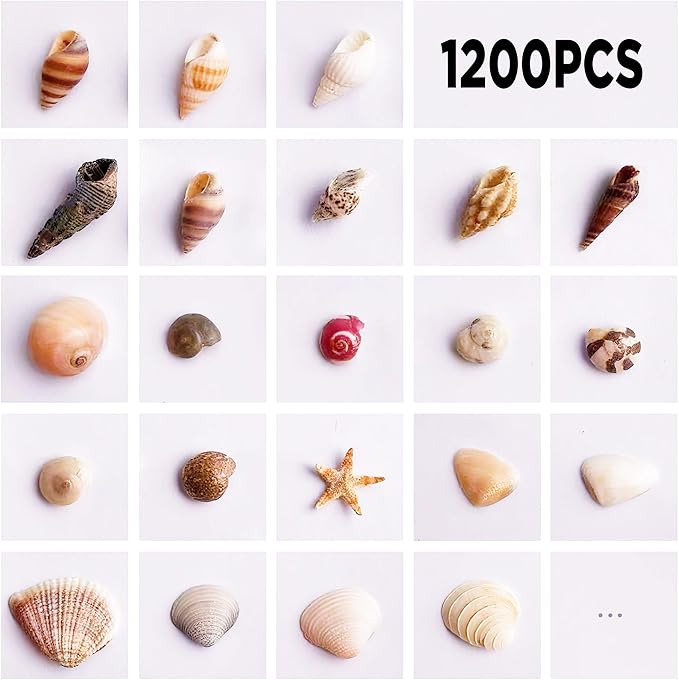 1200 PCS Tiny Sea Shells &10 Small Starfish - Mixed Ocean Beach Spiral Seashells for Fish Tank and Vase Filler, Beach Theme Party, Wedding Decor - DIY Craft Supplies