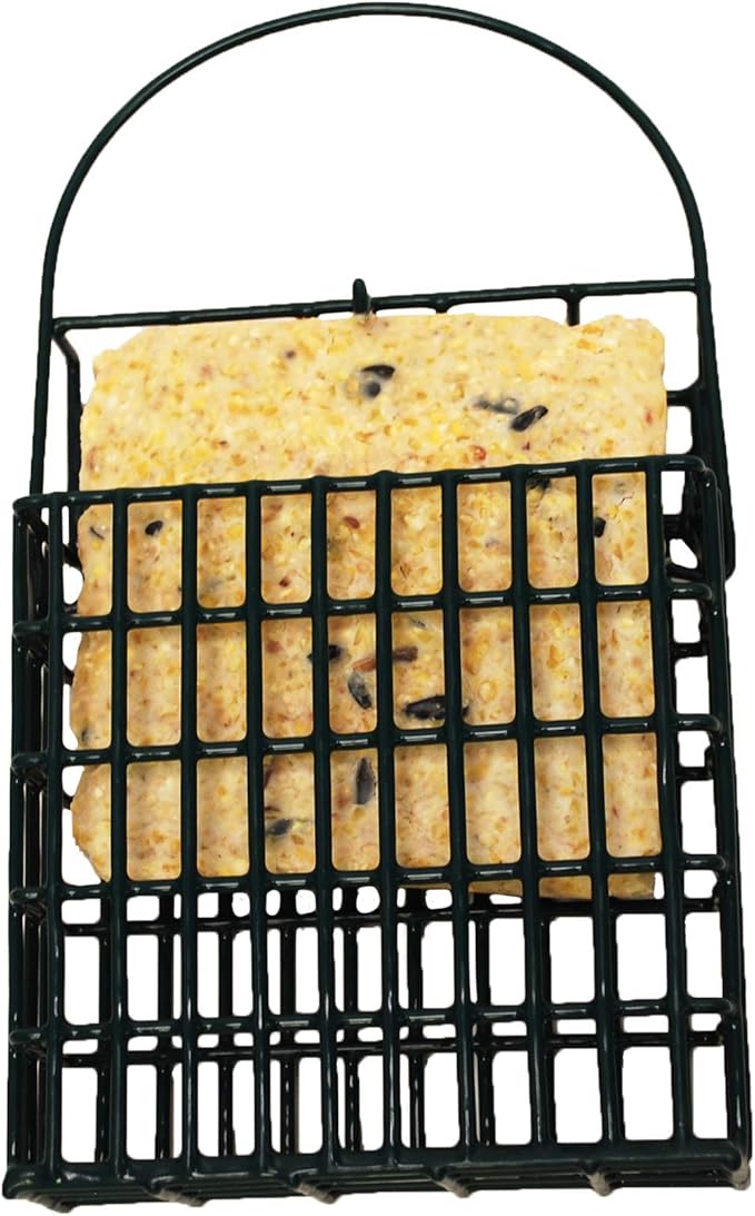 Wildlife Sciences Suet Feeder Cage Suet Cake Combo for Wild Birds | Includes 1 Suet Feeder and 11 Ounce Nuts and Berry Cake