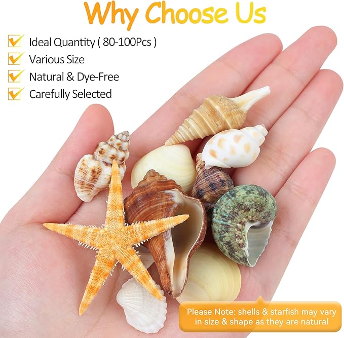 80+ Pcs Natural Seashells, Mixed Starfish Sea Shells for Crafts, Various Sizes Ocean Shells Conch for Decorating, Beach Theme Party, DIY Crafts, Fish Tank Filling, Home Decor, Wedding Decoration