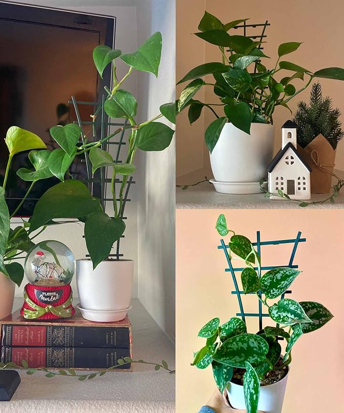 Mini Plant Trellis Garden Trellis for Climbing Plants Outdoor Plastic Superimposed Potted Plant Support Flower Supports (4 Pcs)