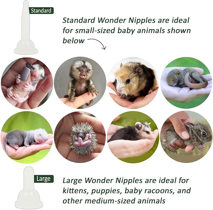 Exotic Nutrition Baby Squirrel Nursing Set (Expanded) - Milk Replacer, Feeding Syringes