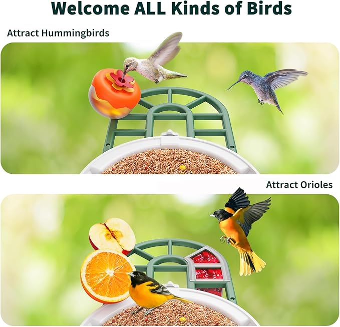 Bird Feeder with Camera with AI Identify Birds Species Solar Powered, Smart Bird House with Cam, 2K HD Video Live Stream, Instant Arrival Alerts - Green
