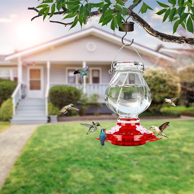 Hummingbird Feeder, BOLITE Glass Hummingbird Feeders for Outdoors Hanging, with Ant Moat and 4 Bee Guard Feeding Ports, 22oz, Leak Proof, Clear & Red, Birthday Gifts for Women Men, Gifts for Mom Dad
