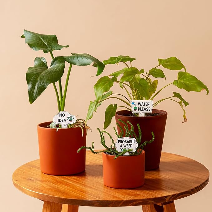 15 Pcs Garden Plant Markers, Plant Labels Funny Plant Stakes, Wooden Plant Labels Tab Plant Signs, for Indoor Plants Outdoor Garden Potted Plant Novelty Gifts
