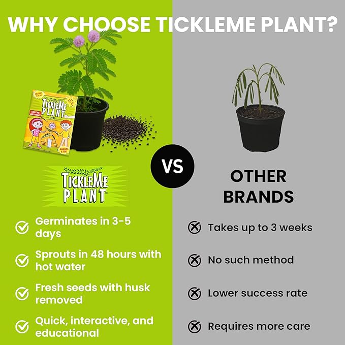 TickleMe Plant Seeds for Indoor Planting (2-Pack) – Touch-Sensitive Plant That Closes Leaves When Touched – Easy Indoor House Plant Seeds – Fun Educational Activity for Kids & Adults