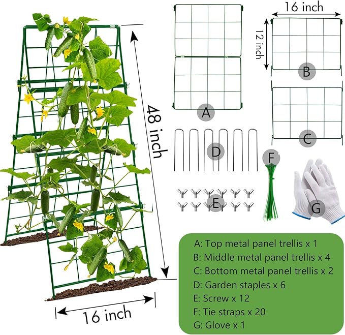 Thickened Cucumber Trellis for Raised Garden Bed,48"x16" Foldable Frame Metal Vegetable Trellis for Climbing Plants Outdoor Plant Support for Grape Tomato Peas, Fruit, Vine,Bean(Green)