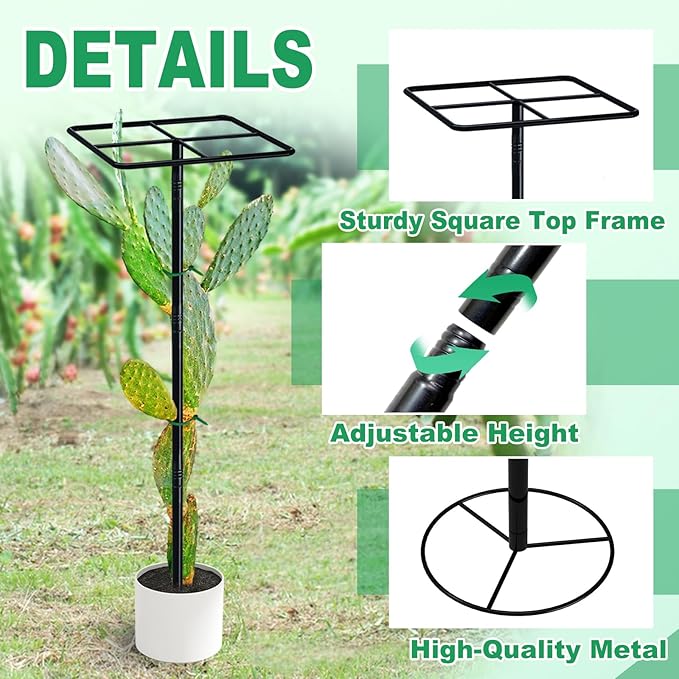 63'' Metal Dragon Fruit Trellis, Adjust Durable Dragon Fruit Plant Trellis Support Garden Fruit Stand for Vertical Climbing Plants Trees Cactus Roses Vines Outdoor Indoor,1 Pcs