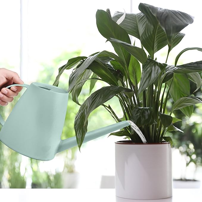 Plant Watering Can - Plastic Indoor and Outdoor - 1/2 Gallon - Green